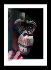 Ape Series - Waiting Framed