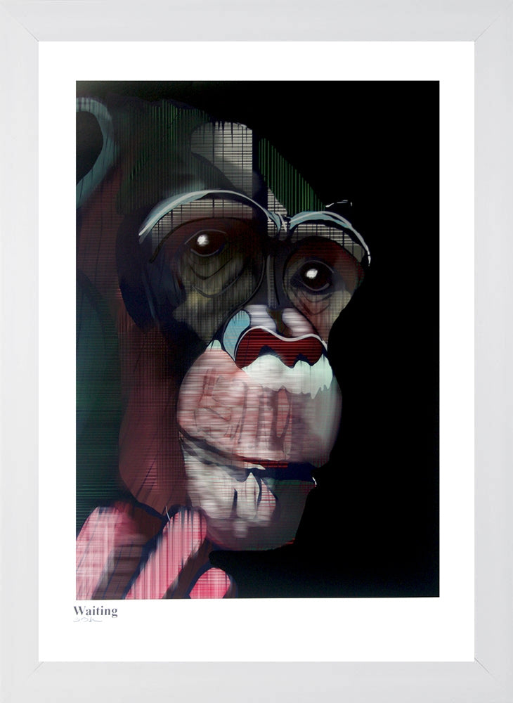 Ape Series - Waiting White Frame