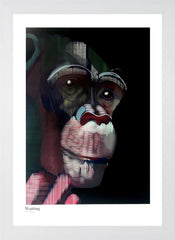 Ape Series - Waiting White Frame