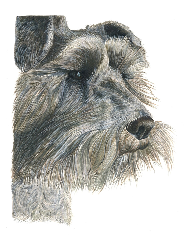 Waiting For You Unframed