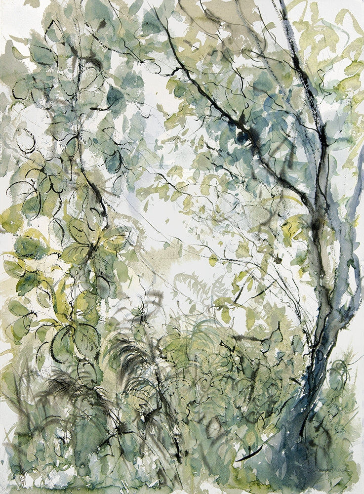 Print - Walking Through The Woods