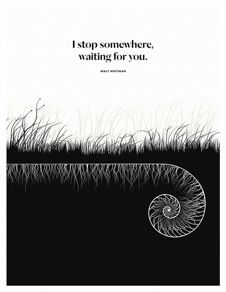 Walt Whitman - Wait Unframed