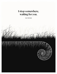 Walt Whitman - Wait Unframed