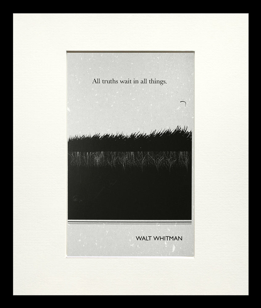 Postcard - Walt Whitman Small Flat Black Frame