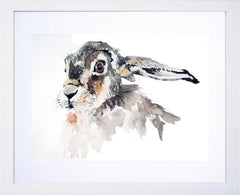 Animals Hare - The Watcher White Frame
