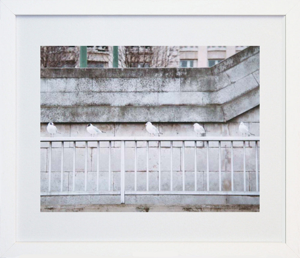 Paris In White - Birds In A Row Frame Black