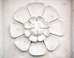 Paris In White - Wall Flower Unframed