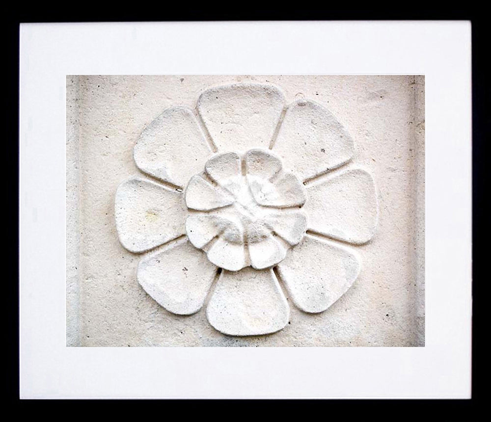 Paris In White - Wall Flower Framed