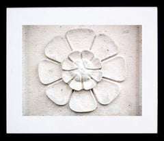 Paris In White - Wall Flower Framed