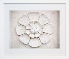 Paris In White - Wall Flower Frame White