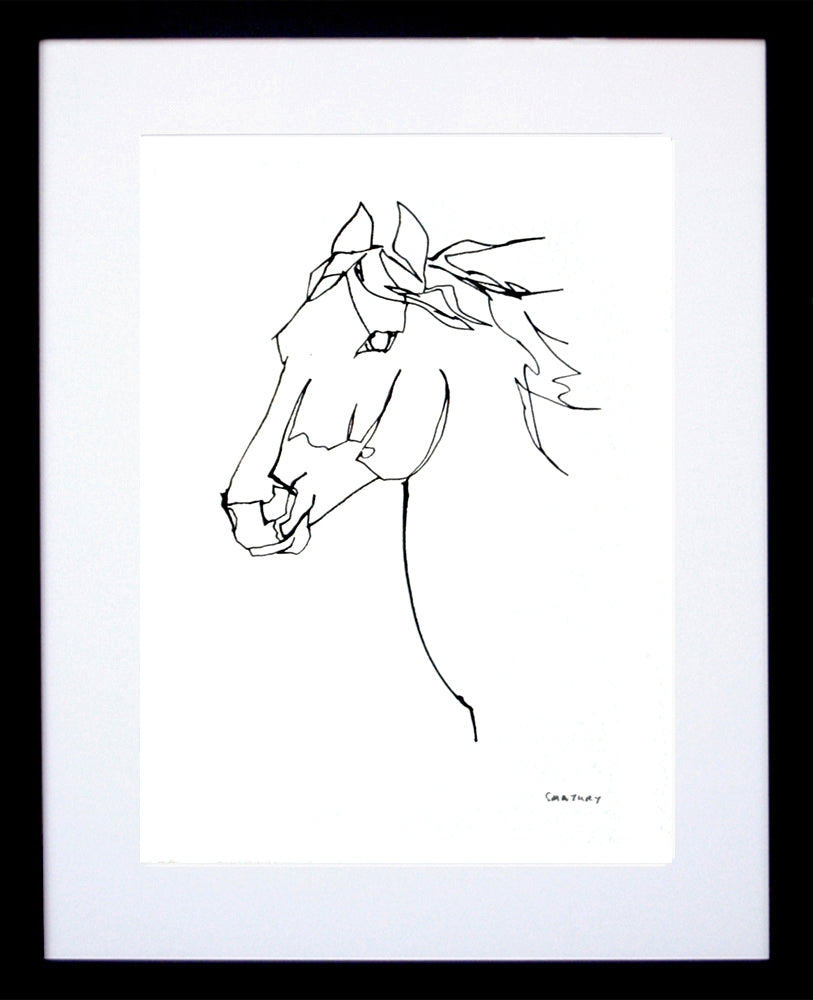 Animals Horse - Wild Horse Black Frame