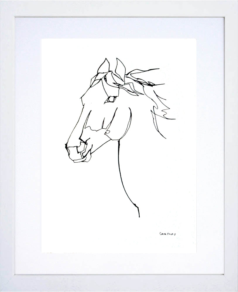 Animals Horse - Wild Horse White Frame