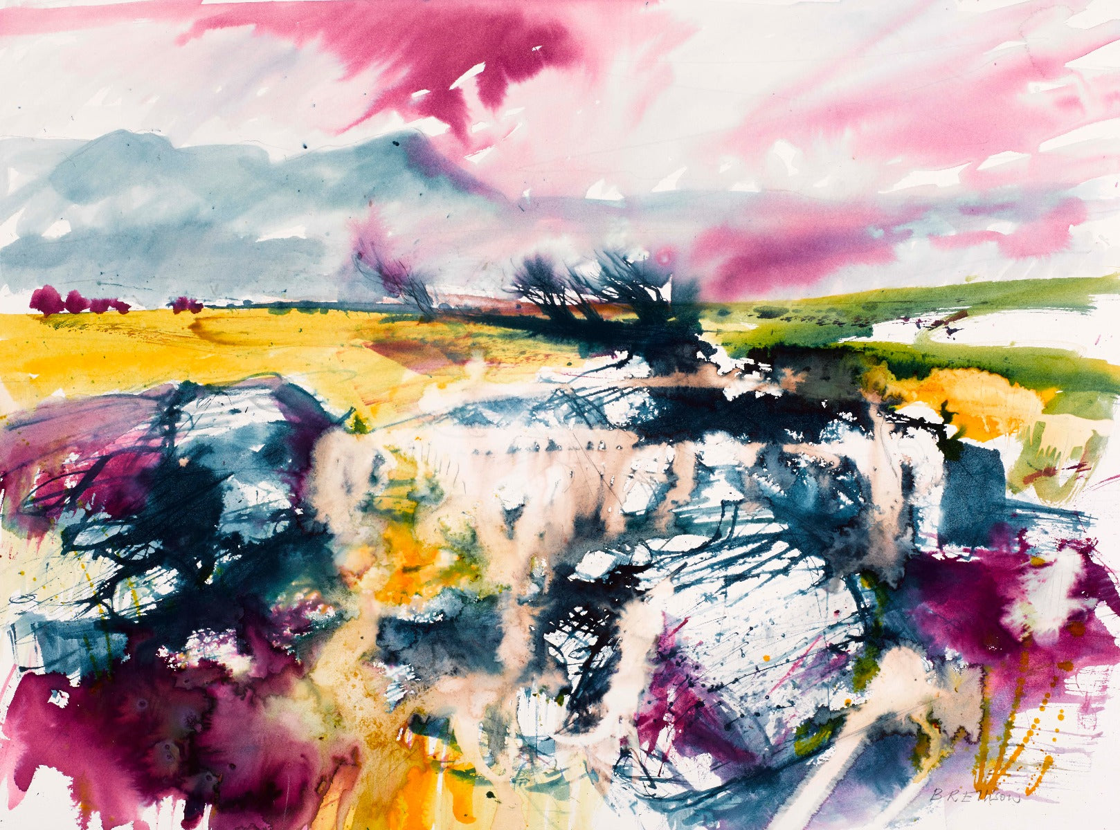 Windswept Valley, Donegal Unframed