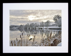Co Down - Winter - Hillsborough Forest Park - Black Box Frame