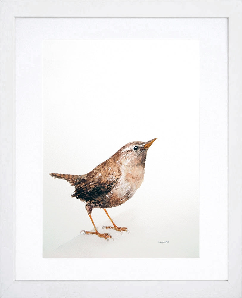 Animals Bird - Wren White Frame