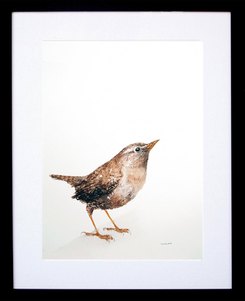 Animals Bird - Wren Black Frame