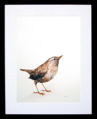 Animals Bird - Wren Black Frame