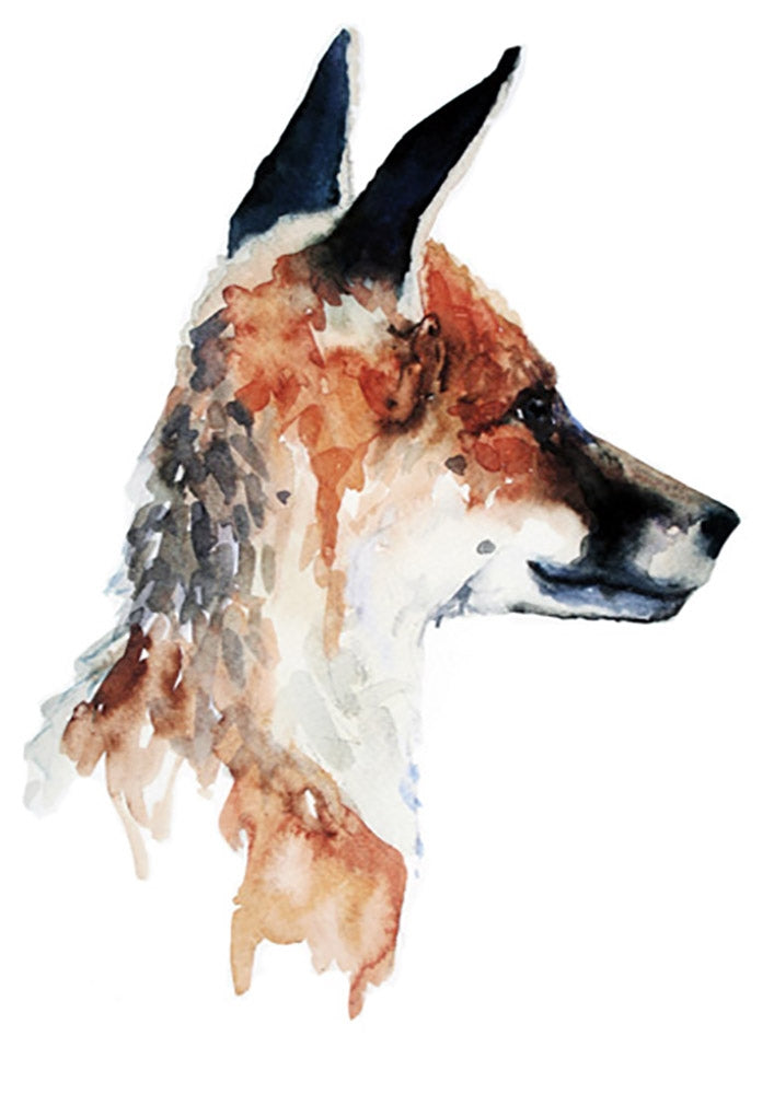 Animals Fox - Young Cub Unframed