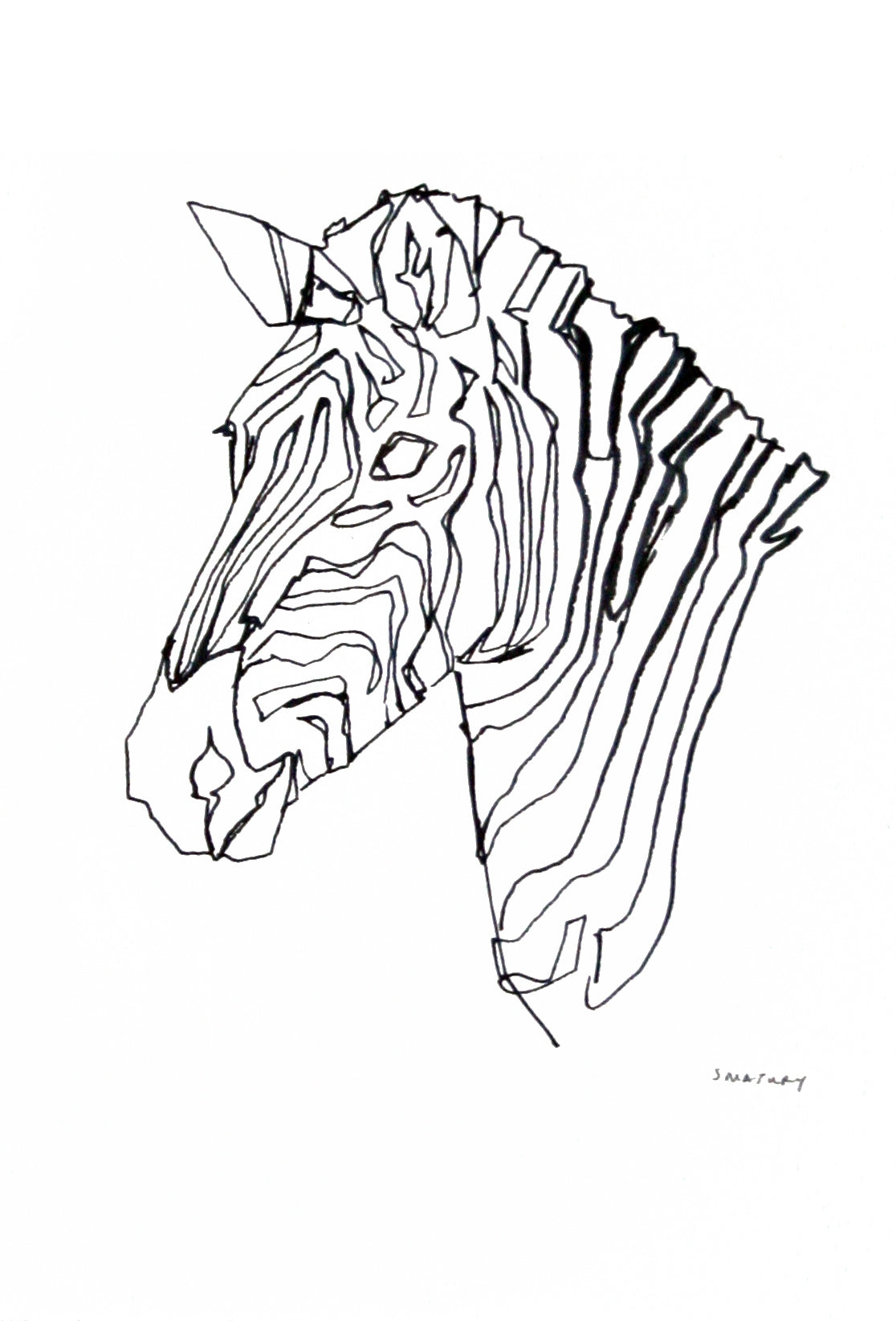 Animals Zebra - Zebra in Black and White Unframed
