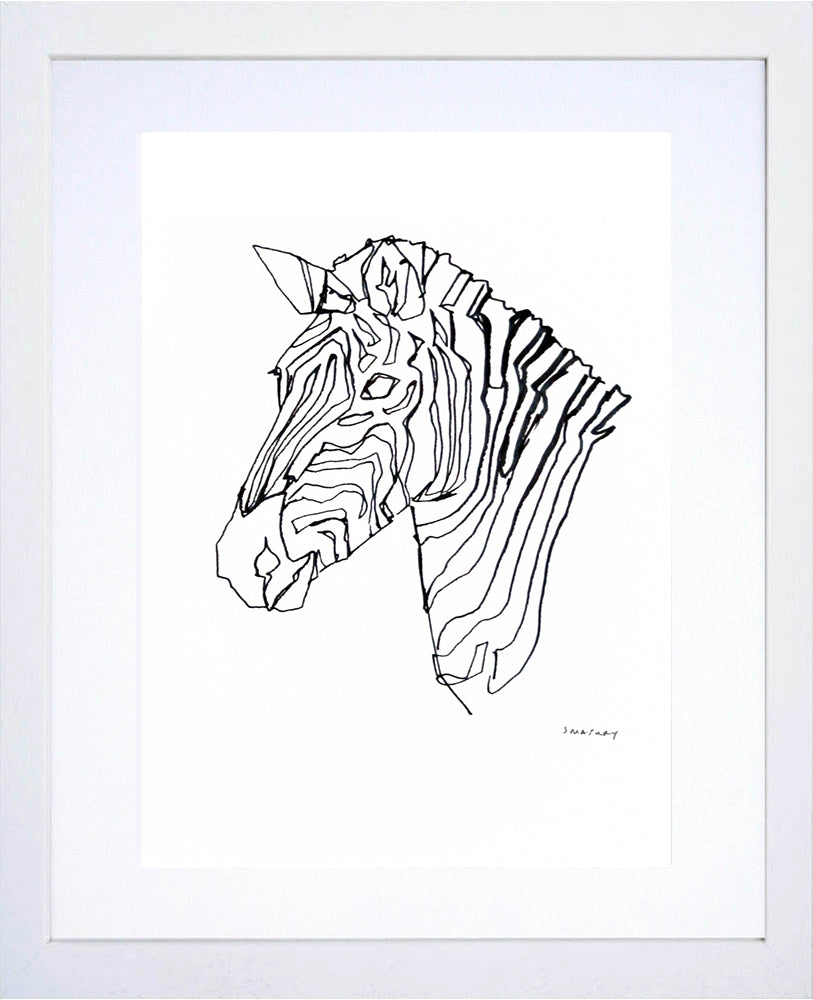 Animals Zebra - Zebra in Black and White White Frame