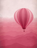 Hot Air Balloon In Pink