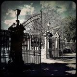 Belfast - Botanic Gardens