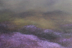 After Rain
