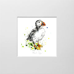 Print Open Edition Animals - Atlantic Puffin