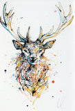 Original - Aura (Stag)