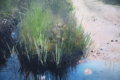 Avoiding The Puddles, The Mournes