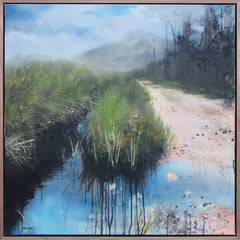 Avoiding The Puddles, The Mournes