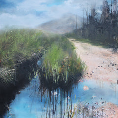 Avoiding The Puddles, The Mournes