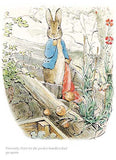 Peter Rabbit - Peter Let the Handkerchief Go - Limited Edition