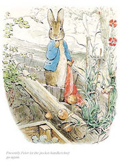 Peter Rabbit - Peter Let the Handkerchief Go