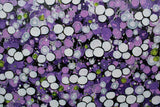 Blossoms In Purple