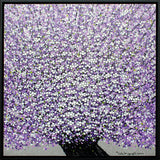 Blossoms In Purple
