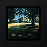 Botanic Garden Trees 1