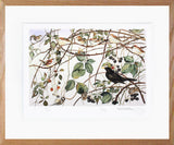 The Lost Words - Bramble - Limited Edition