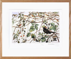 The Lost Words - Bramble Artist Proof