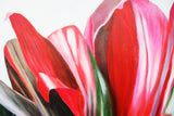 Bright Botanicals 1