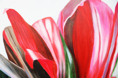 Bright Botanicals 1