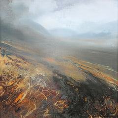 Clumps Of Moss, Mournes