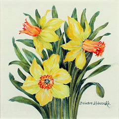 Original - Daffodils 1