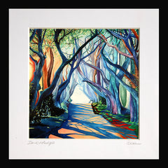 Print - Dark Hedges