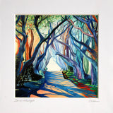 Print - Dark Hedges