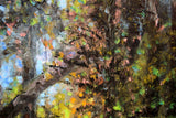 Deep In The Forest, Crawfordsburn
