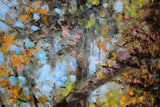 Deep In The Forest, Crawfordsburn