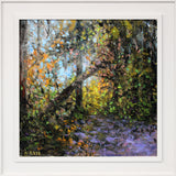 Deep In The Forest, Crawfordsburn