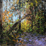 Deep In The Forest, Crawfordsburn