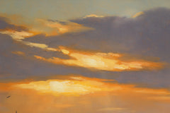 Dog Walking At Ballyholme Beach